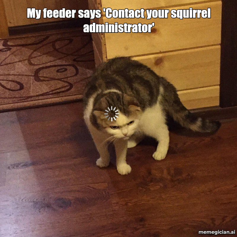 The AI Bird Feeder meme: My feeder says 'Contact your squirrel administrator'
