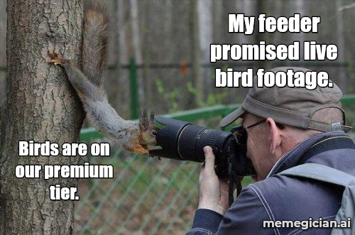 The AI Bird Feeder meme: My feeder promised live bird footage. — Birds are on our premium tier.