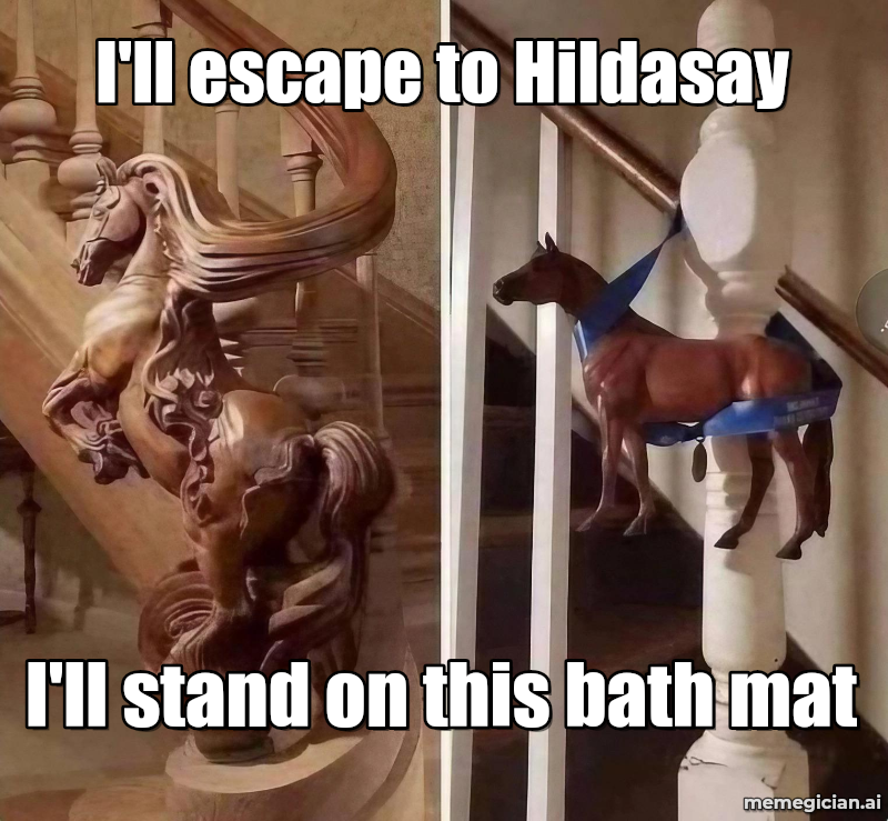 Hildasay Island for Sale meme: I'll escape to Hildasay — I'll stand on this bath mat