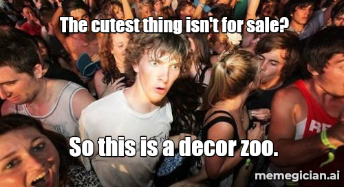 Kelly Clarkson vs. the Display Shelf meme: The cutest thing isn't for sale? — So this is a decor zoo.