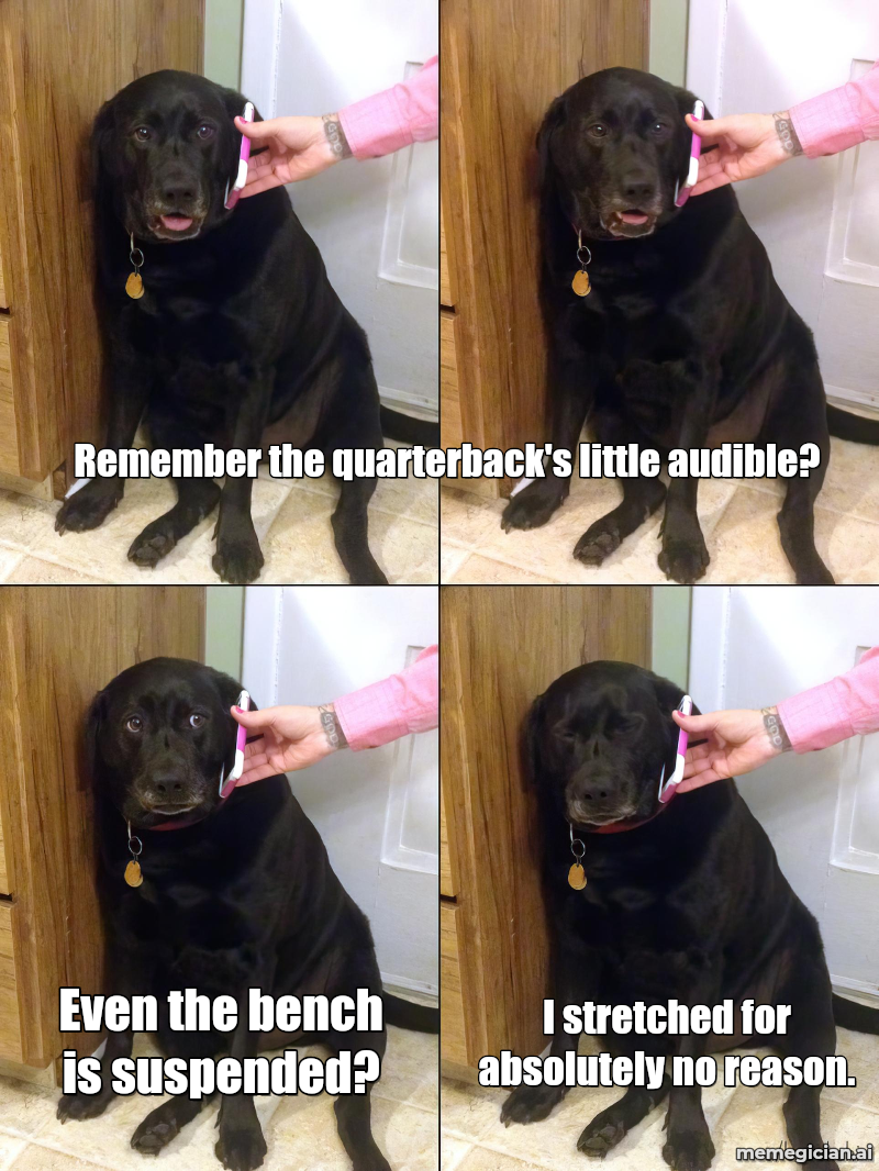 QB Audible, Team Suspended meme: Remember the quarterback's little audible? — Even the bench is suspended? — I stretched for absolutely no reason.