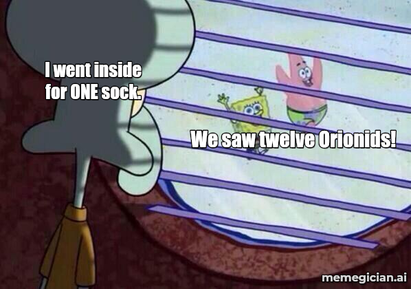 Orionid Meteor Shower meme: We saw twelve Orionids! — I went inside for ONE sock.