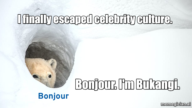 Busan’s Celebrity Shark meme: I finally escaped celebrity culture. — Bonjour. I'm Bukangi.